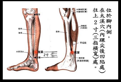 富溜穴|醫砭 » 經穴庫 » 復溜